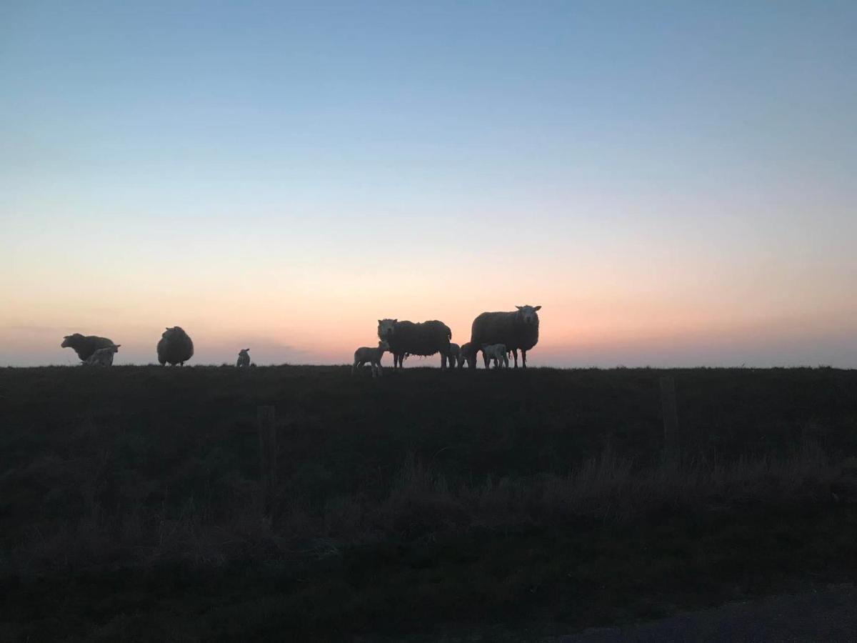B&B De Oude Skuur Texel Oosterend  Экстерьер фото